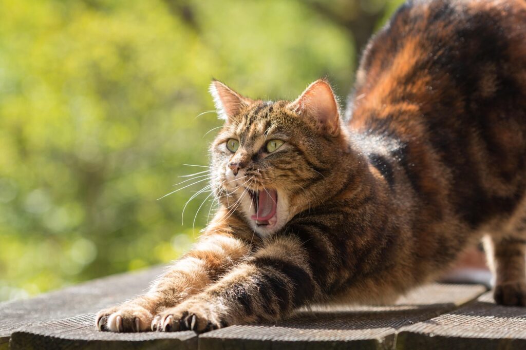 30代の美容疲れを防ぐための効果的なコツは？