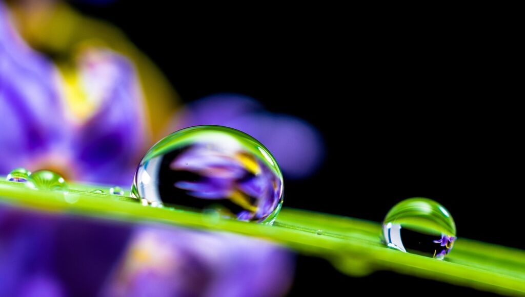皮膚の水分飛びやすい原因とは何ですか？