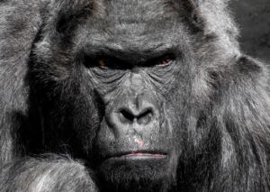 30代が肌トラブルを季節ごとに乗り越えるための対策は？