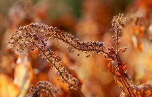 外気乾燥による肌荒れ予防に効果的な対策は？