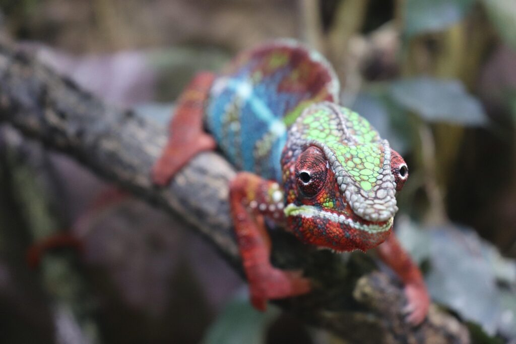 環境変化が原因で肌弱る30代におすすめの対策は？