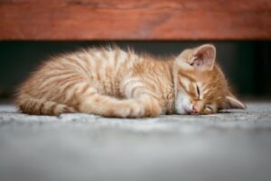 30代の肌荒れに睡眠不足が与える影響とは？