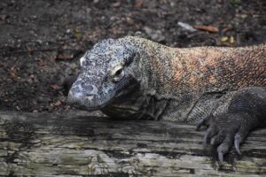 肌荒れの原因と対策は何がある？